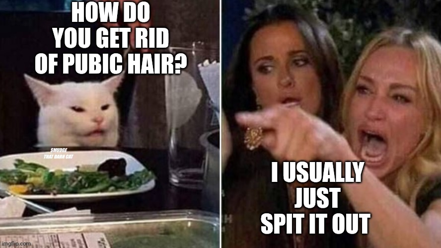 Reverse Smudge that darn cat | HOW DO YOU GET RID OF PUBIC HAIR? I USUALLY JUST SPIT IT OUT | image tagged in reverse smudge that darn cat | made w/ Imgflip meme maker