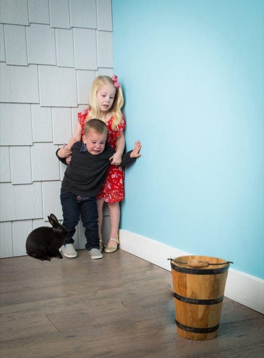 Even the rabbit is scared Blank Meme Template