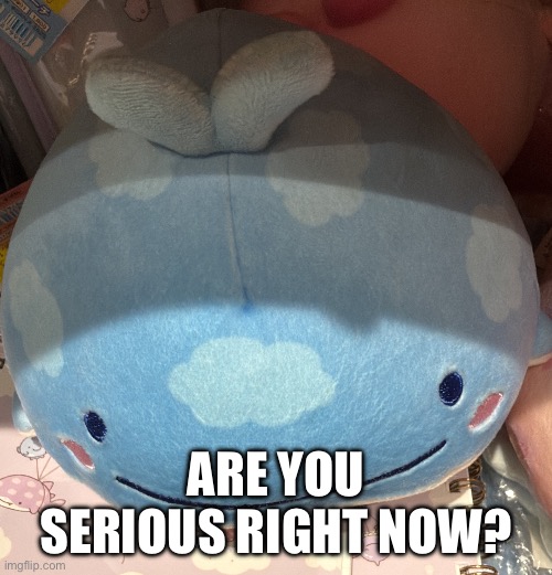 I made a weird picture meme. You can use it. >:) | ARE YOU SERIOUS RIGHT NOW? | image tagged in are you serious right now | made w/ Imgflip meme maker