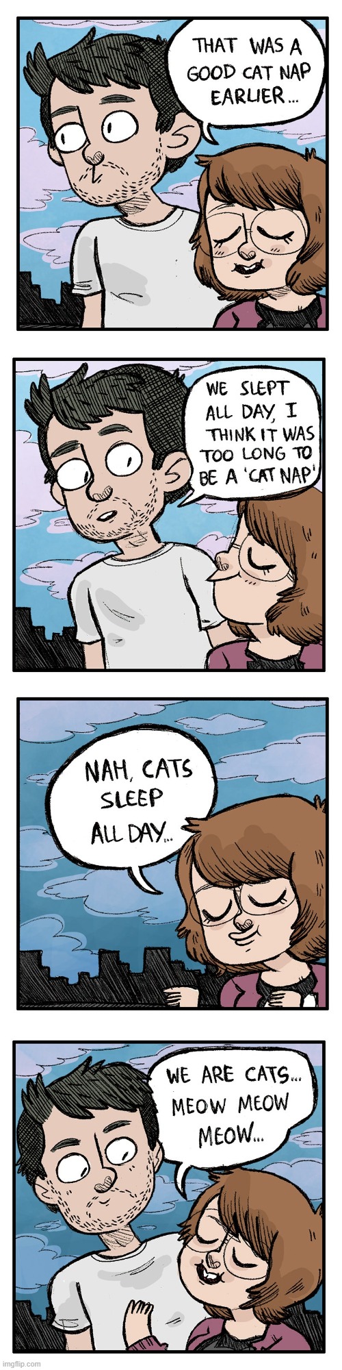 image tagged in cat,nap,cat nap,sleeping,cats,meow | made w/ Imgflip meme maker