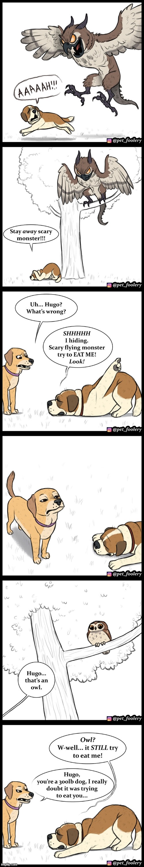 image tagged in dog,dogs,owl,monster,scary,hiding | made w/ Imgflip meme maker