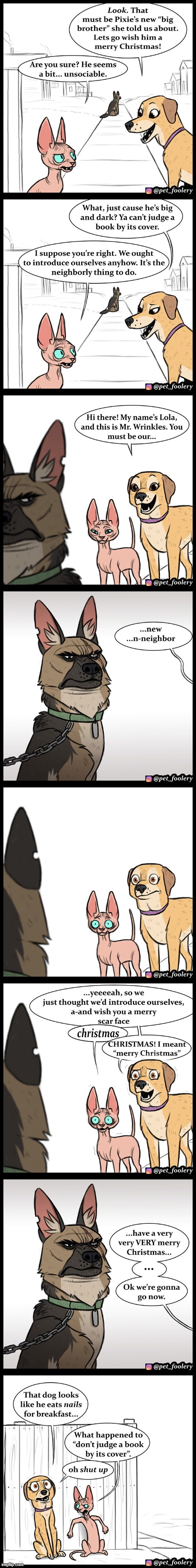 image tagged in cat,dogs,neighbor,new,scary,scared | made w/ Imgflip meme maker