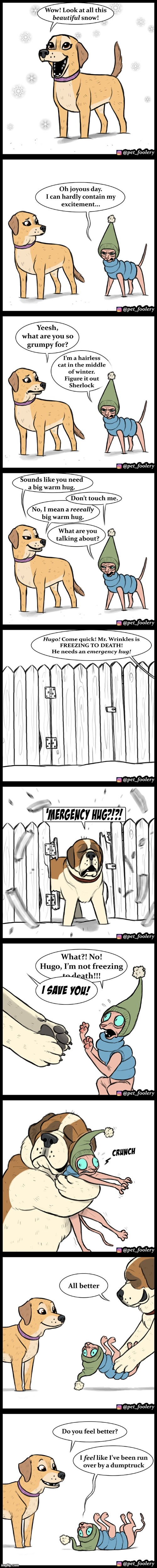 The third dog, Hugo! | image tagged in dogs,cat,winter,cold,hug,ouch | made w/ Imgflip meme maker