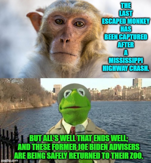That's a relief! | THE LAST ESCAPED MONKEY HAS BEEN CAPTURED AFTER A MISSISSIPPI HIGHWAY CRASH. BUT ALL'S WELL THAT ENDS WELL; AND THESE FORMER JOE BIDEN ADVISERS ARE BEING SAFELY RETURNED TO THEIR ZOO. | image tagged in yep | made w/ Imgflip meme maker