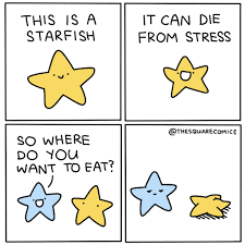 Starfish stress Blank Meme Template