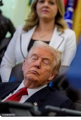 High Quality Donald Trump sleeping in public Blank Meme Template