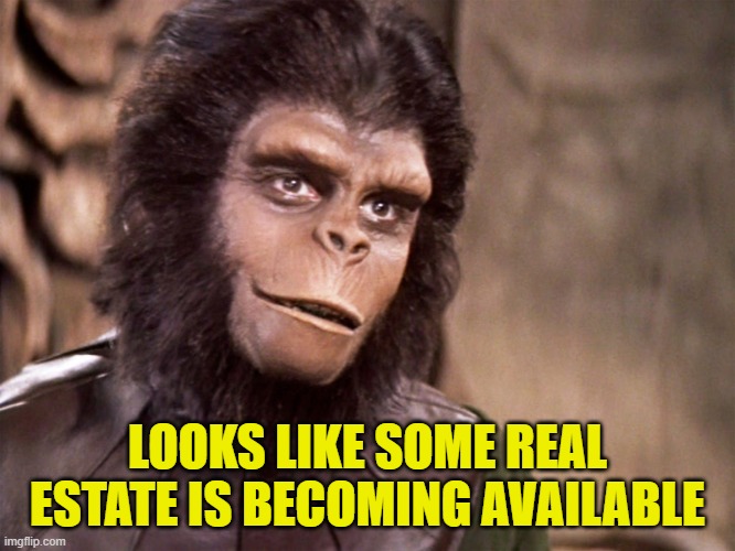 cornelius planet of the apes | LOOKS LIKE SOME REAL ESTATE IS BECOMING AVAILABLE | image tagged in cornelius planet of the apes | made w/ Imgflip meme maker