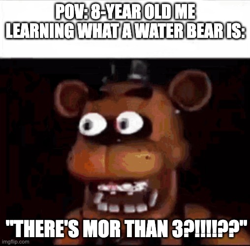 basic science | POV: 8-YEAR OLD ME LEARNING WHAT A WATER BEAR IS:; "THERE'S MOR THAN 3?!!!!??" | image tagged in shocked freddy fazbear | made w/ Imgflip meme maker