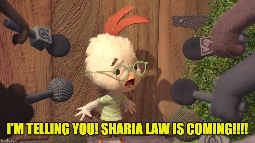 Chicken Little | I'M TELLING YOU! SHARIA LAW IS COMING!!!! | image tagged in chicken little | made w/ Imgflip meme maker