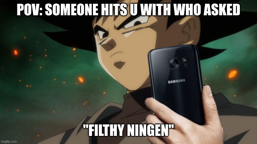 ningen | POV: SOMEONE HITS U WITH WHO ASKED; "FILTHY NINGEN" | image tagged in goku black phone,dbz | made w/ Imgflip meme maker