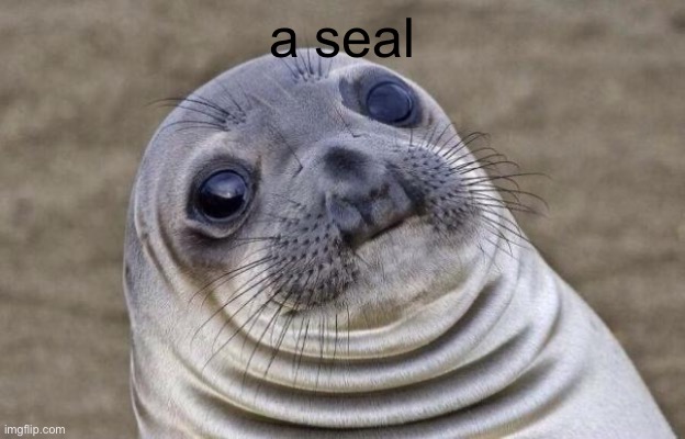 a seal | image tagged in memes,awkward moment sealion | made w/ Imgflip meme maker