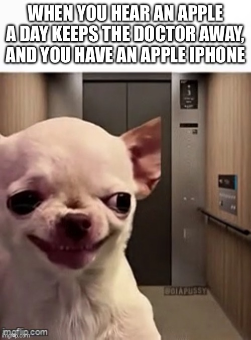 WHEN YOU HEAR AN APPLE A DAY KEEPS THE DOCTOR AWAY, AND YOU HAVE AN APPLE IPHONE | image tagged in apple inc,doctor,smiling dog | made w/ Imgflip meme maker
