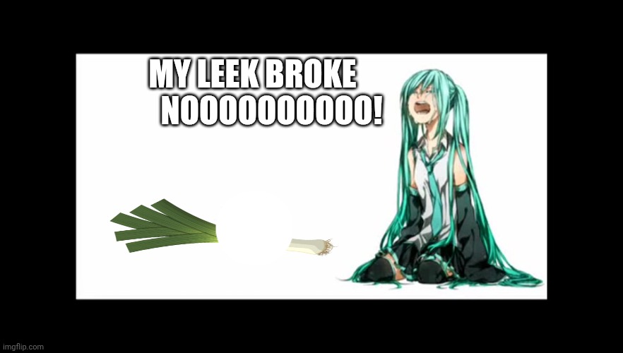 Oh no :( | NOOOOOOOOOO! MY LEEK BROKE | image tagged in hatsune miku | made w/ Imgflip meme maker