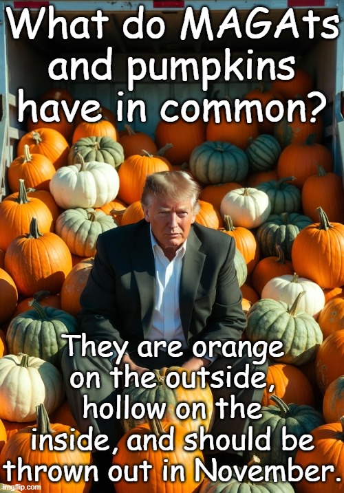 What do MAGAts and Pumpkins have in common?  Orange, Hollow and thrown out in November. | What do MAGAts and pumpkins have in common? They are orange on the outside, hollow on the inside, and should be thrown out in November. | image tagged in republican,joke,humor,authoritarian,america,constitution | made w/ Imgflip meme maker