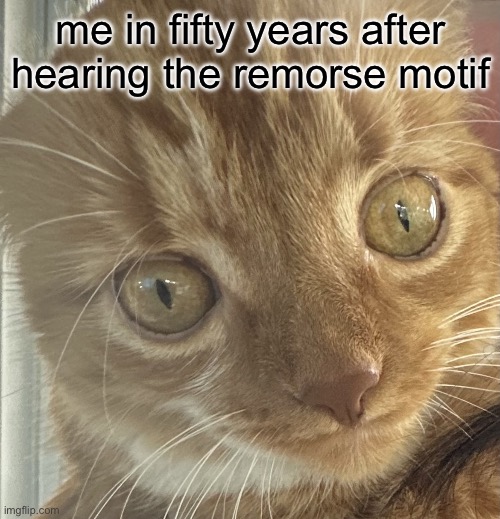 Say that again. I dare you. | me in fifty years after hearing the remorse motif | image tagged in say that again i dare you | made w/ Imgflip meme maker