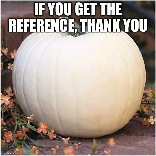 White Pumpkin 500x500 | IF YOU GET THE REFERENCE, THANK YOU | image tagged in white pumpkin 500x500 | made w/ Imgflip meme maker