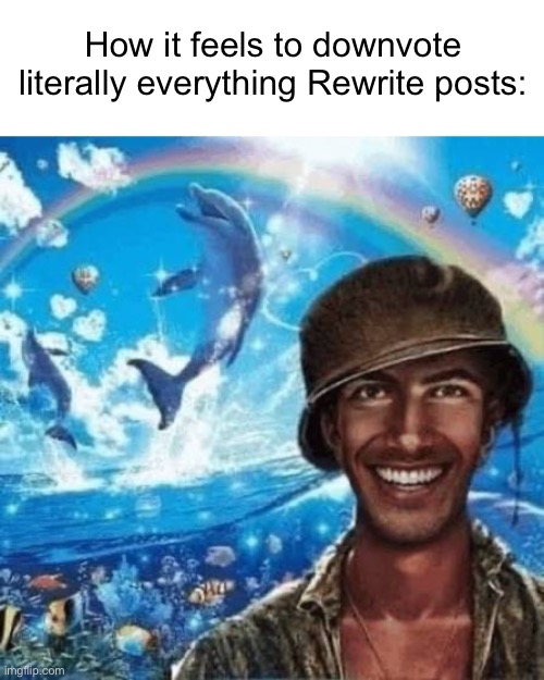 Happy thousand yard stare | How it feels to downvote literally everything Rewrite posts: | image tagged in happy thousand yard stare | made w/ Imgflip meme maker