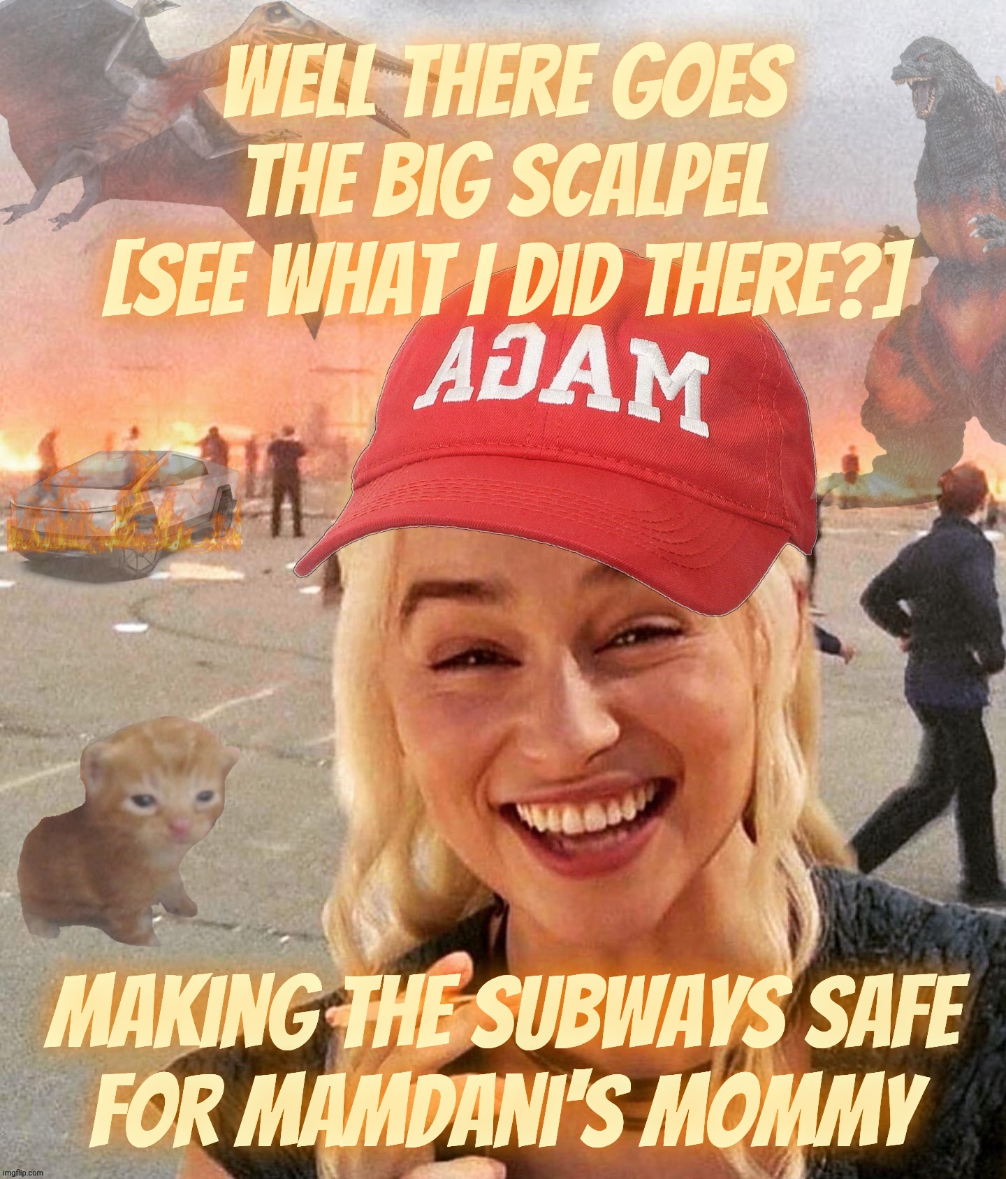 Well there goes The Big Scalpel [see what I did there?] Making the Subways safe
for Mamdani's mommy | made w/ Imgflip meme maker