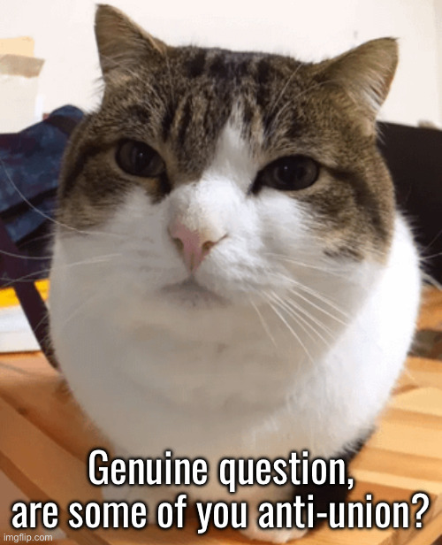 This is because of a few different comments on my last post | Genuine question, are some of you anti-union? | image tagged in oh the misery original | made w/ Imgflip meme maker