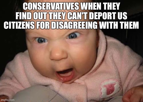 Evil Baby Meme | CONSERVATIVES WHEN THEY FIND OUT THEY CAN'T DEPORT US CITIZENS FOR DISAGREEING WITH THEM | image tagged in memes,evil baby | made w/ Imgflip meme maker