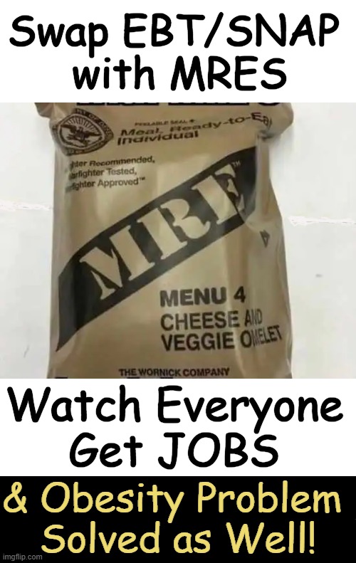 A Twofer! :) | Swap EBT/SNAP 
with MRES; Watch Everyone
Get JOBS; & Obesity Problem 
Solved as Well! | image tagged in snap,ebt,swap,problem solved,first world problems,obesity | made w/ Imgflip meme maker