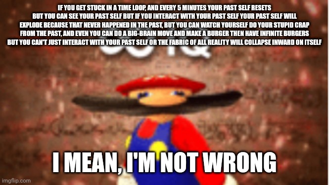 Infinite IQ | IF YOU GET STUCK IN A TIME LOOP, AND EVERY 5 MINUTES YOUR PAST SELF RESETS BUT YOU CAN SEE YOUR PAST SELF BUT IF YOU INTERACT WITH YOUR PAST SELF YOUR PAST SELF WILL EXPLODE BECAUSE THAT NEVER HAPPENED IN THE PAST, BUT YOU CAN WATCH YOURSELF DO YOUR STUPID CRAP FROM THE PAST, AND EVEN YOU CAN DO A BIG-BRAIN MOVE AND MAKE A BURGER THEN HAVE INFINITE BURGERS BUT YOU CAN'T JUST INTERACT WITH YOUR PAST SELF OR THE FABRIC OF ALL REALITY WILL COLLAPSE INWARD ON ITSELF; I MEAN, I'M NOT WRONG | image tagged in infinite iq | made w/ Imgflip meme maker