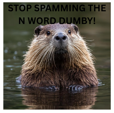 stop spamming the n word dummy Blank Meme Template