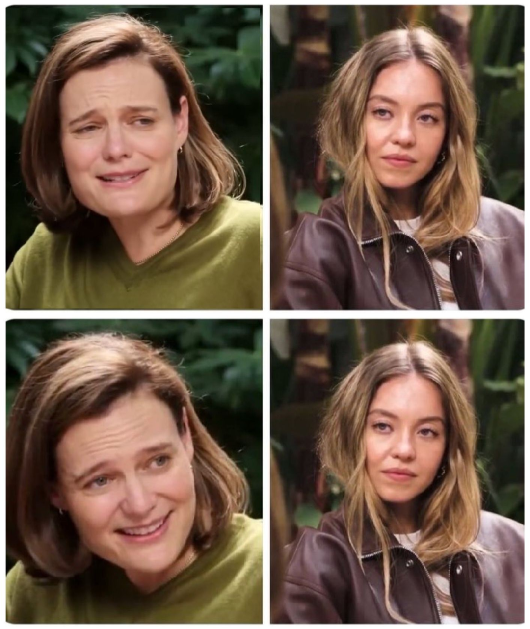 Sydney Sweeney you mean right? Blank Meme Template