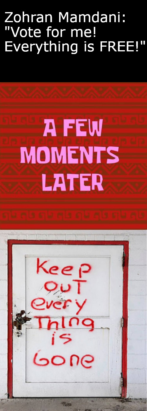 They never learn... | Zohran Mamdani: 
"Vote for me! Everything is FREE!" | image tagged in nyc,mamdani,politics,memes,migrants,ice | made w/ Imgflip meme maker