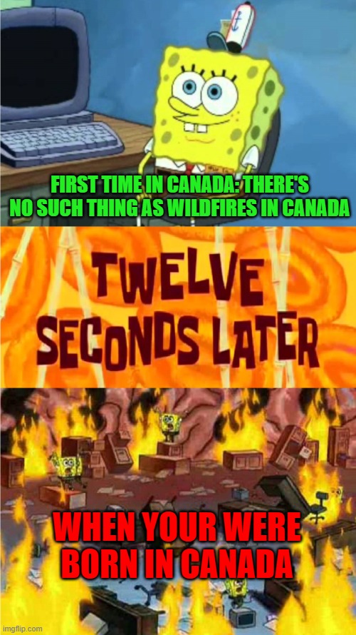 spongebob office rage | FIRST TIME IN CANADA: THERE'S NO SUCH THING AS WILDFIRES IN CANADA; WHEN YOUR WERE BORN IN CANADA | image tagged in spongebob office rage | made w/ Imgflip meme maker