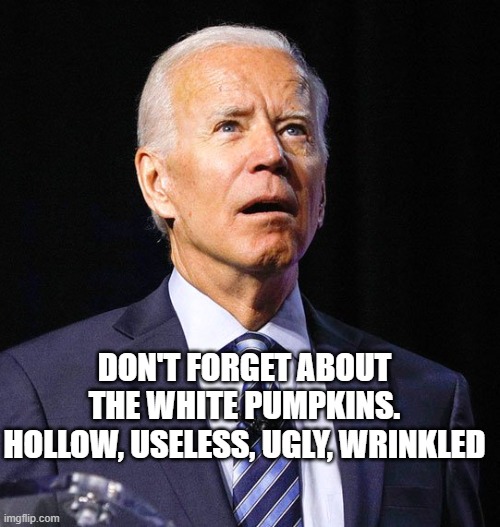 Joe Biden | DON'T FORGET ABOUT THE WHITE PUMPKINS.
HOLLOW, USELESS, UGLY, WRINKLED | image tagged in joe biden | made w/ Imgflip meme maker