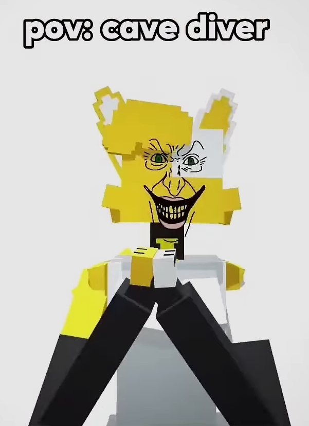 POV: cave diver Blank Meme Template