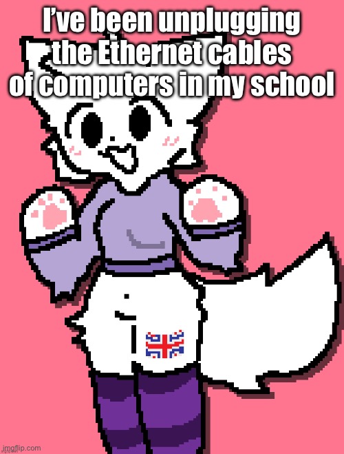 british girlkisser | I’ve been unplugging the Ethernet cables of computers in my school | image tagged in british girlkisser | made w/ Imgflip meme maker