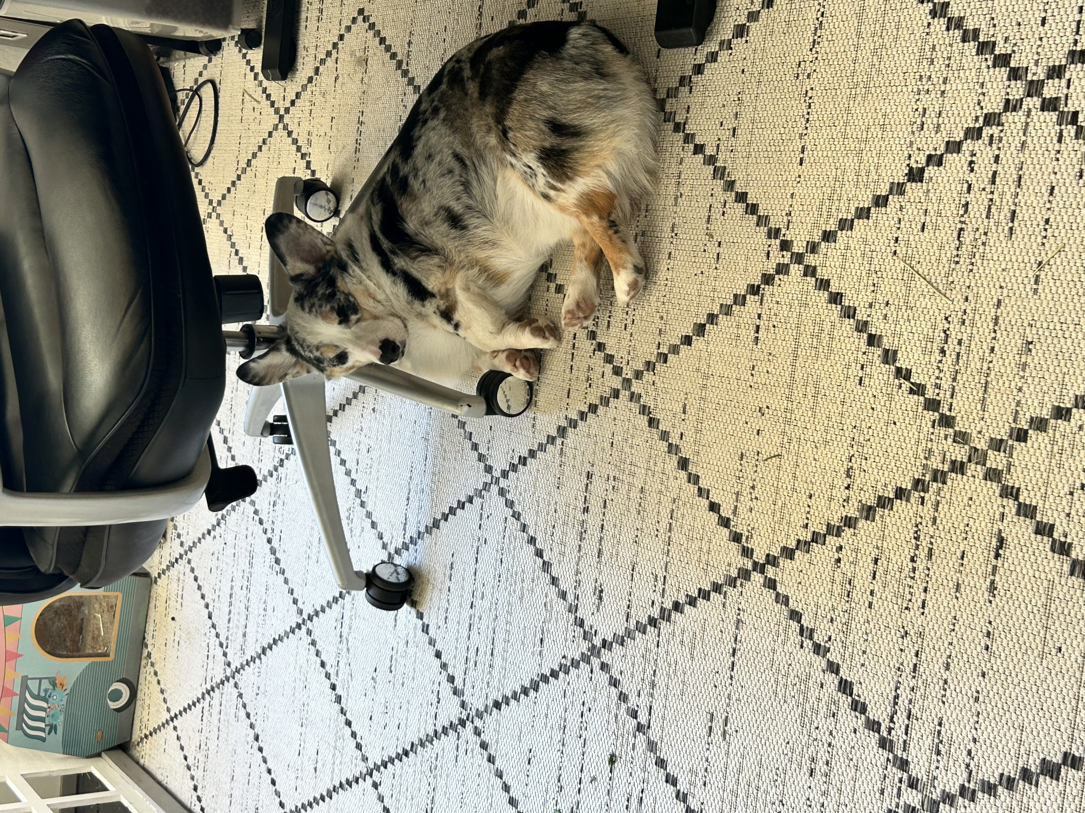 Weekend Vibes Blank Meme Template