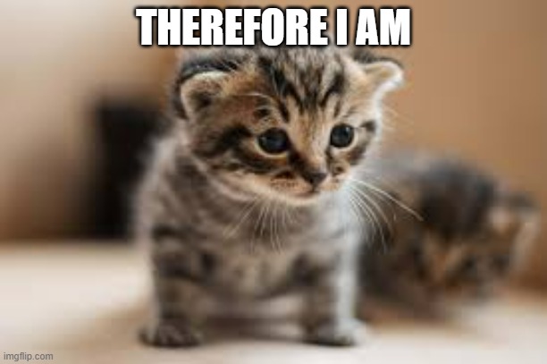 cat response to I think | THEREFORE I AM | image tagged in cat memes | made w/ Imgflip meme maker