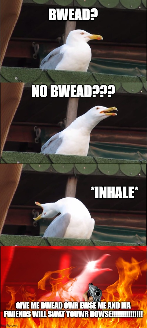 NO BWEAD | BWEAD? NO BWEAD??? *INHALE*; GIVE ME BWEAD OWR EWSE ME AND MA FWIENDS WILL SWAT YOUWR HOWSE!!!!!!!!!!!!!!! | image tagged in memes,inhaling seagull | made w/ Imgflip meme maker