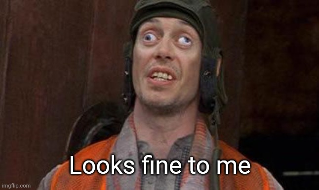 Looks Good To Me | Looks fine to me | image tagged in looks good to me | made w/ Imgflip meme maker