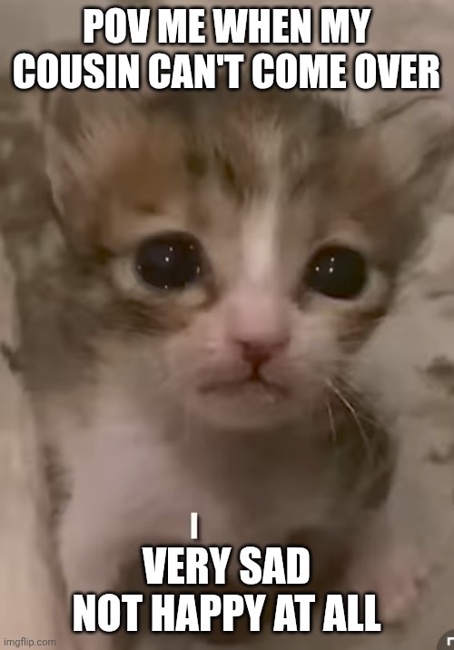 Very sad | POV ME WHEN MY COUSIN CAN'T COME OVER; VERY SAD NOT HAPPY AT ALL | made w/ Imgflip meme maker