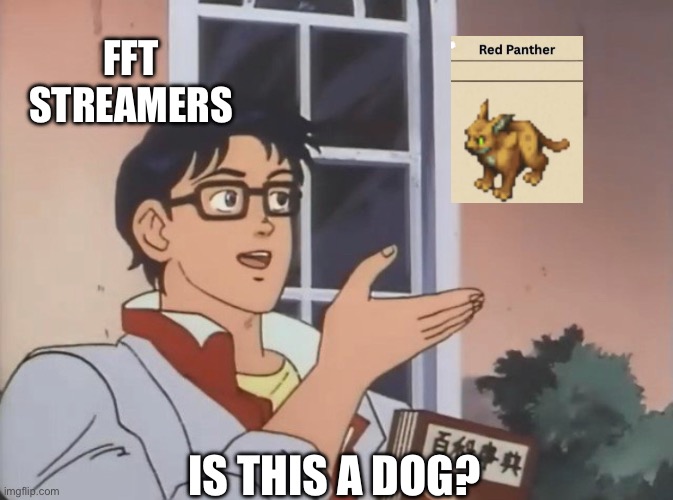 Is this a bird? | FFT STREAMERS; IS THIS A DOG? | image tagged in is this a bird | made w/ Imgflip meme maker