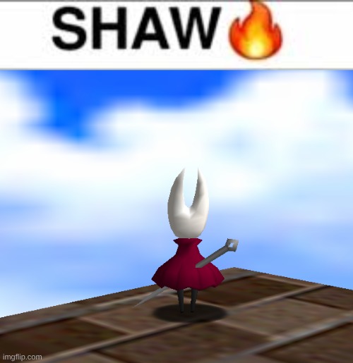 SHAWWWWWWWWWWWWWWWWWWWWWWWWWWWWWWWWWWWWWWWWWWWWWWWWWWWWWWWWWWWWWWWWWWWWWWWWWWWWWWWWWWWWWWWWWWWWWWWWWWWWWWWWWWWWWWWWWWWWWWWWWWW67 | image tagged in shaw meme silksong,the hornet in sm64 | made w/ Imgflip meme maker