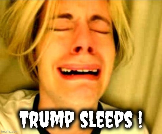 Leave Britney Alone | Trump sleeps ! | image tagged in leave britney alone | made w/ Imgflip meme maker