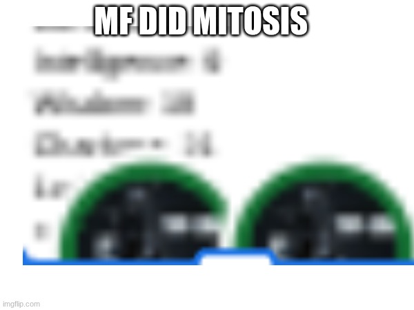 tf | MF DID MITOSIS | made w/ Imgflip meme maker