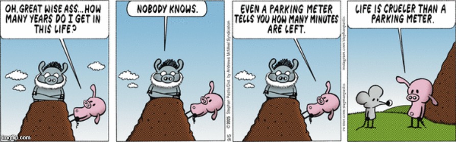 Pearls Before Swine | image tagged in comics | made w/ Imgflip meme maker