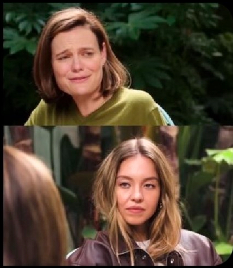 Sydney Sweeney Chad Blank Meme Template