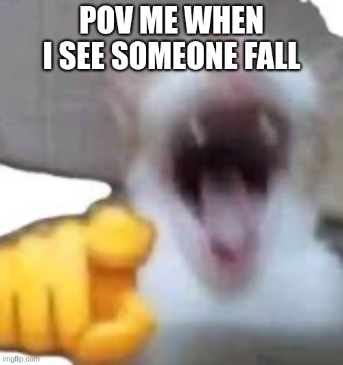 lol | POV ME WHEN I SEE SOMEONE FALL | image tagged in laughing cat | made w/ Imgflip meme maker