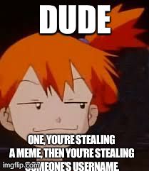 Derp Face Misty | DUDE ONE, YOU'RE STEALING A MEME, THEN YOU'RE STEALING SOMEONE'S USERNAME. | image tagged in derp face misty | made w/ Imgflip meme maker