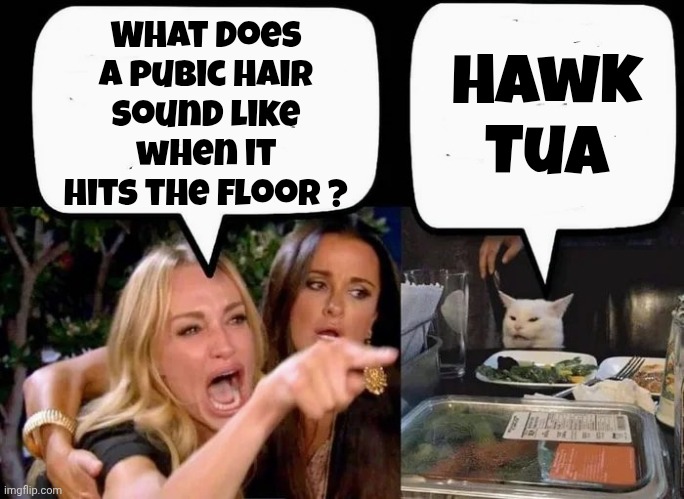 Don't eat the Cat | What does a pubic hair sound like when it hits the floor ? Hawk Tua | image tagged in don't eat the cat | made w/ Imgflip meme maker