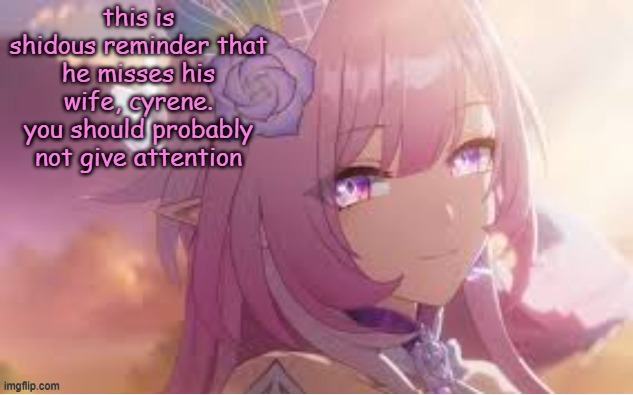 i miss her too much sometimes | image tagged in i miss my wife | made w/ Imgflip meme maker