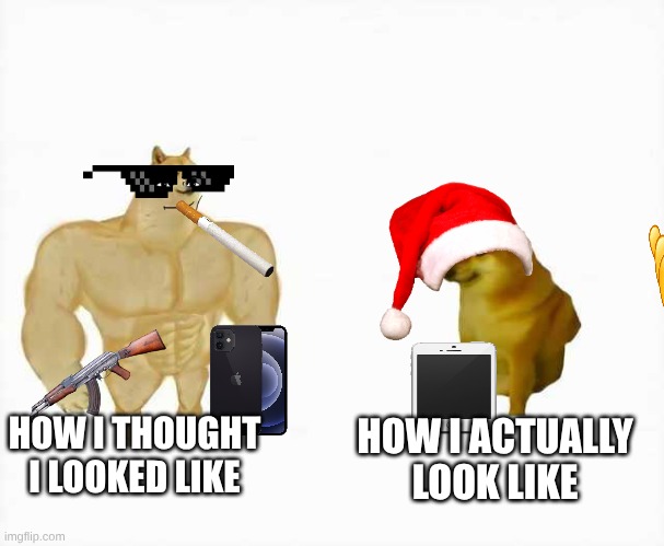 so real | HOW I THOUGHT I LOOKED LIKE; HOW I ACTUALLY LOOK LIKE | image tagged in strong dog vs weak dog | made w/ Imgflip meme maker