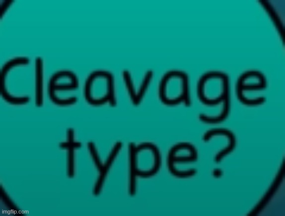 encountered this in class, thought it was funny | made w/ Imgflip meme maker